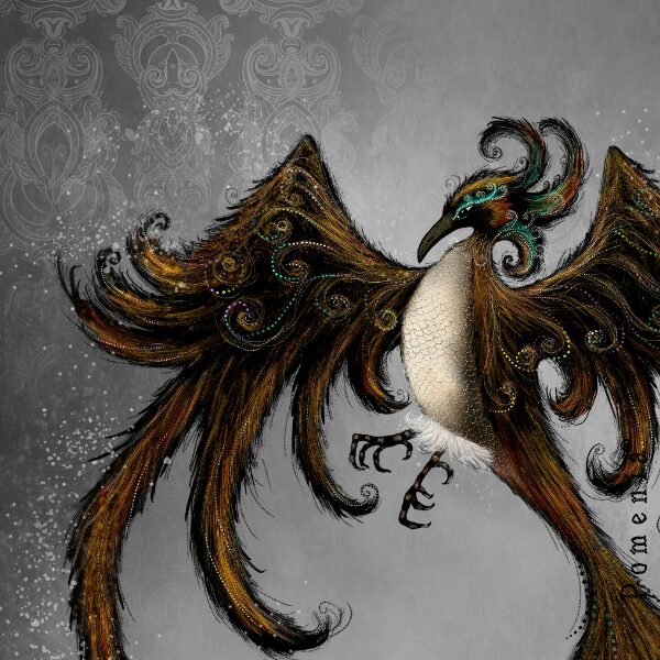 "Fenix", grey, 165cm raportti, PALA -DIGITRIKOO